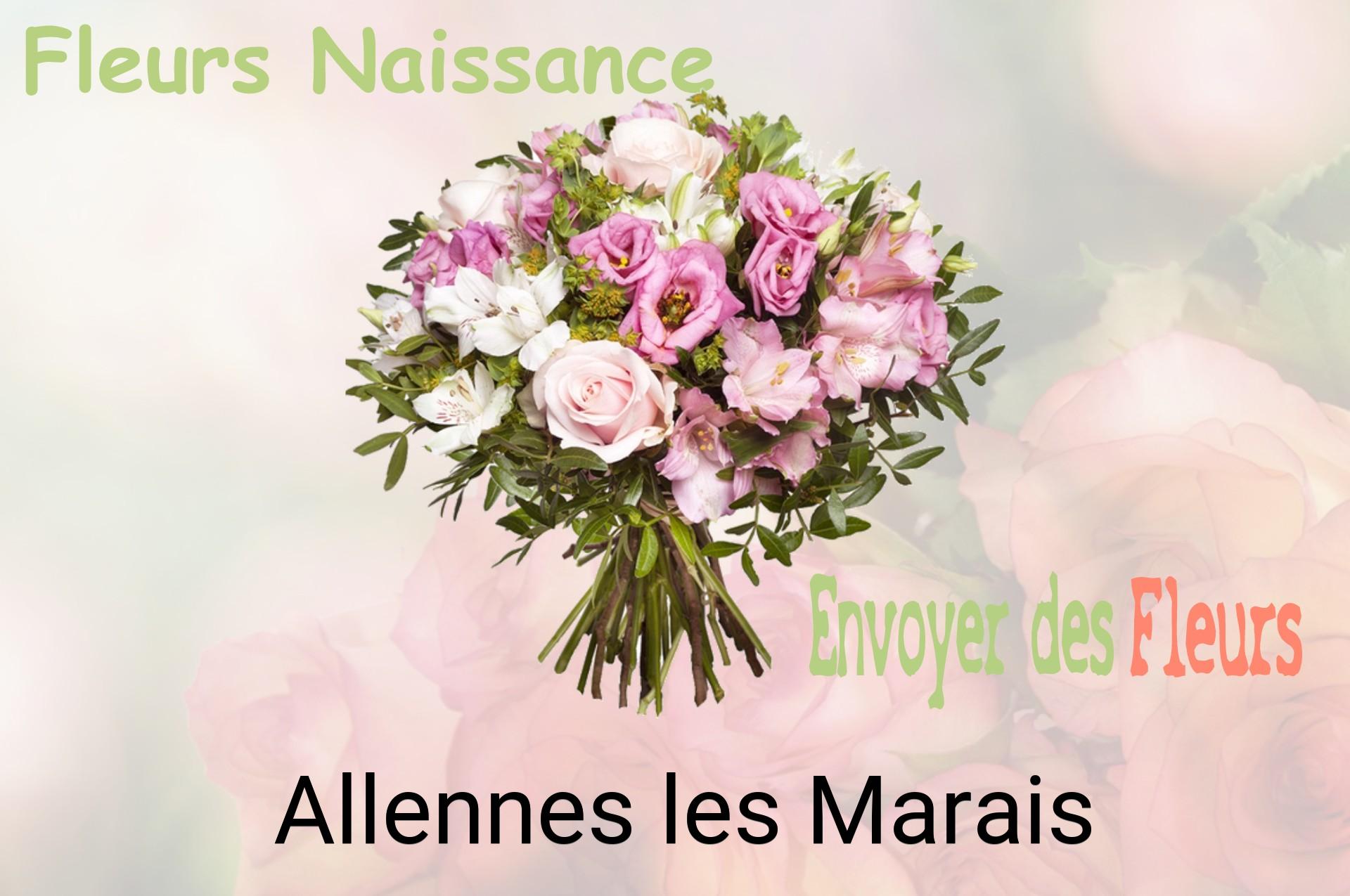 Bouquet de fleurs de naissance livré à Allennes-les-Marais